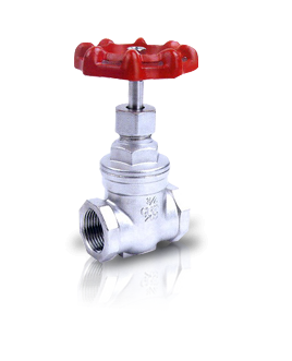 gate valve