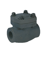 SWING CHECK VALVE CLASS 800,A105N