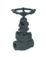 GLOBE VALVE CLASS 1500, A105N