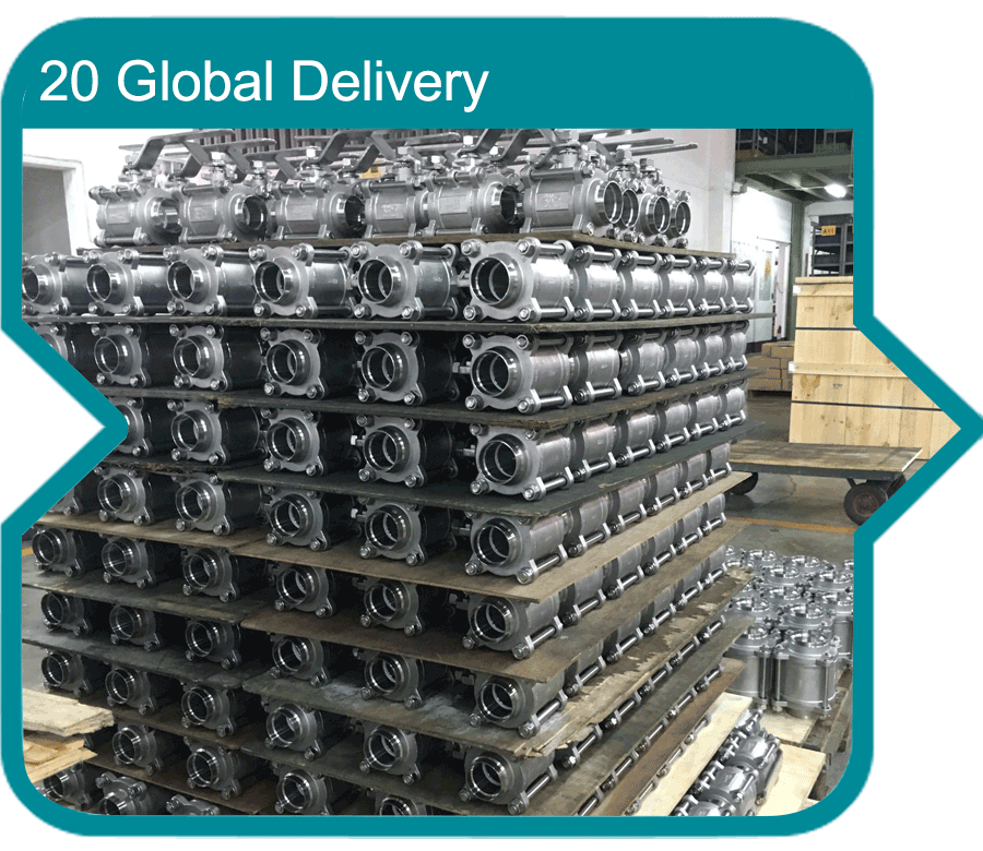 20 Global Delivery